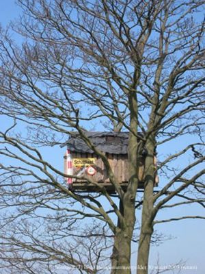 20030330boomhut3.jpg