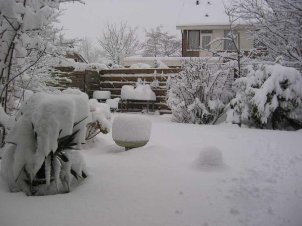 tuinsneeuw6a.jpg