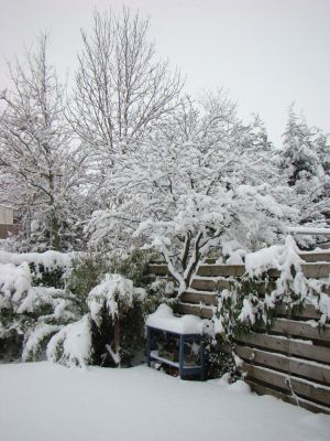 DSC04758 kopie.jpg