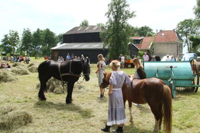 IMG_2722_kopie.jpg