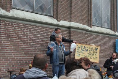 IMG_8519_kopie.jpg