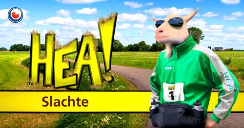 slachte 2016 hea