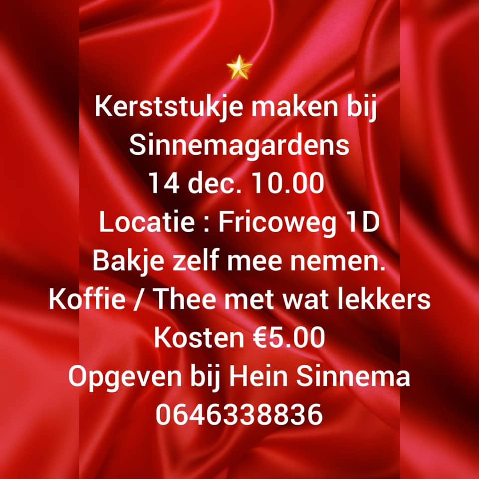 sinnema gardens kerststukje