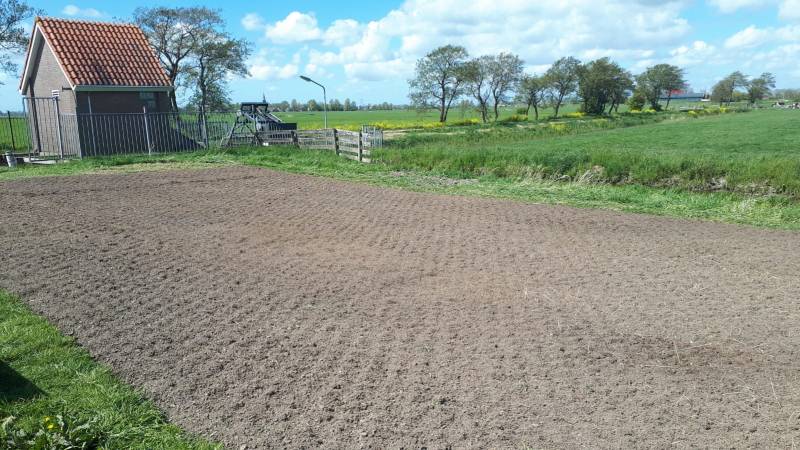 hekkemiedepaed ingezaaid