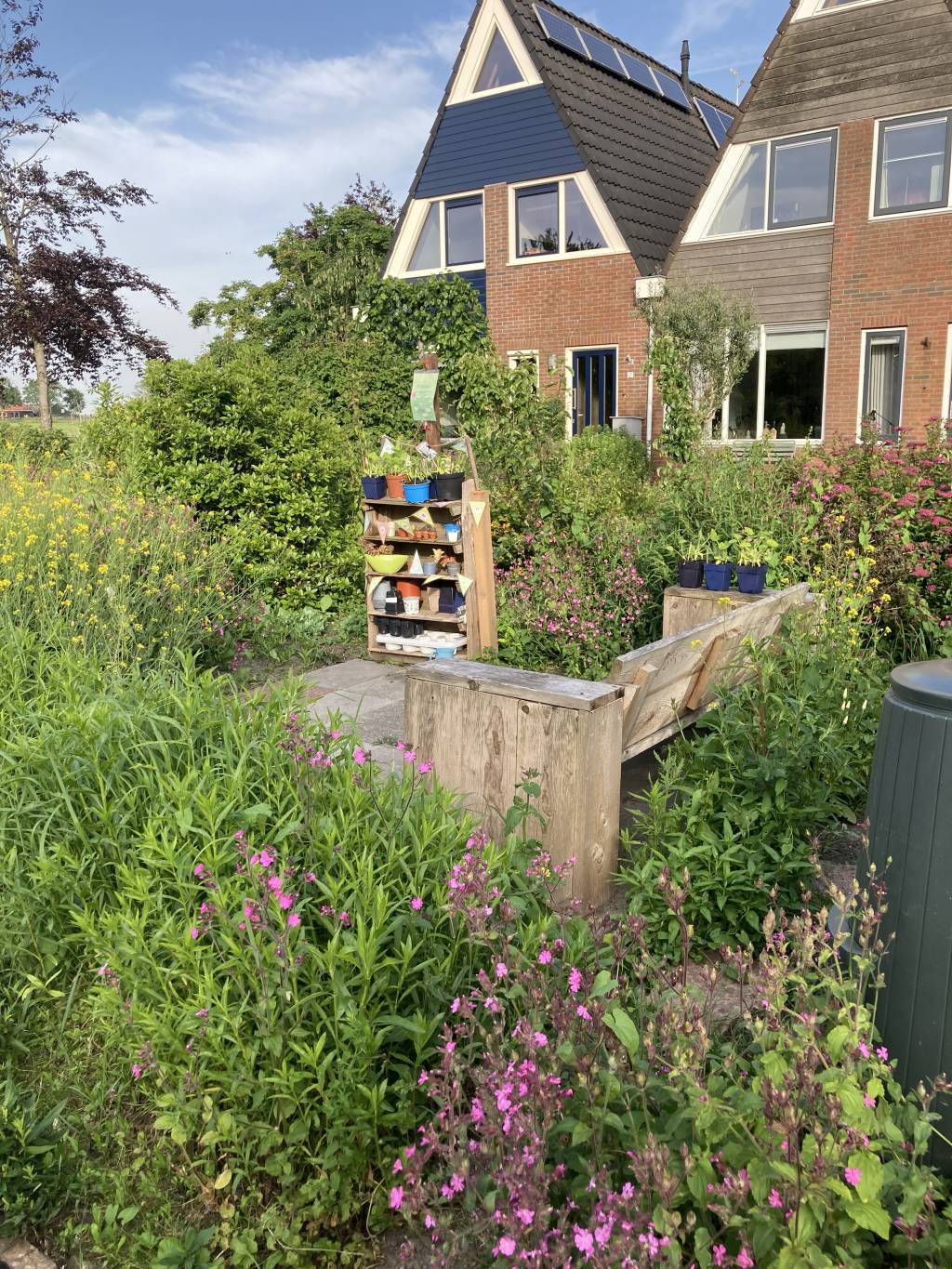 wergea stekjeskast mounder reedmakker